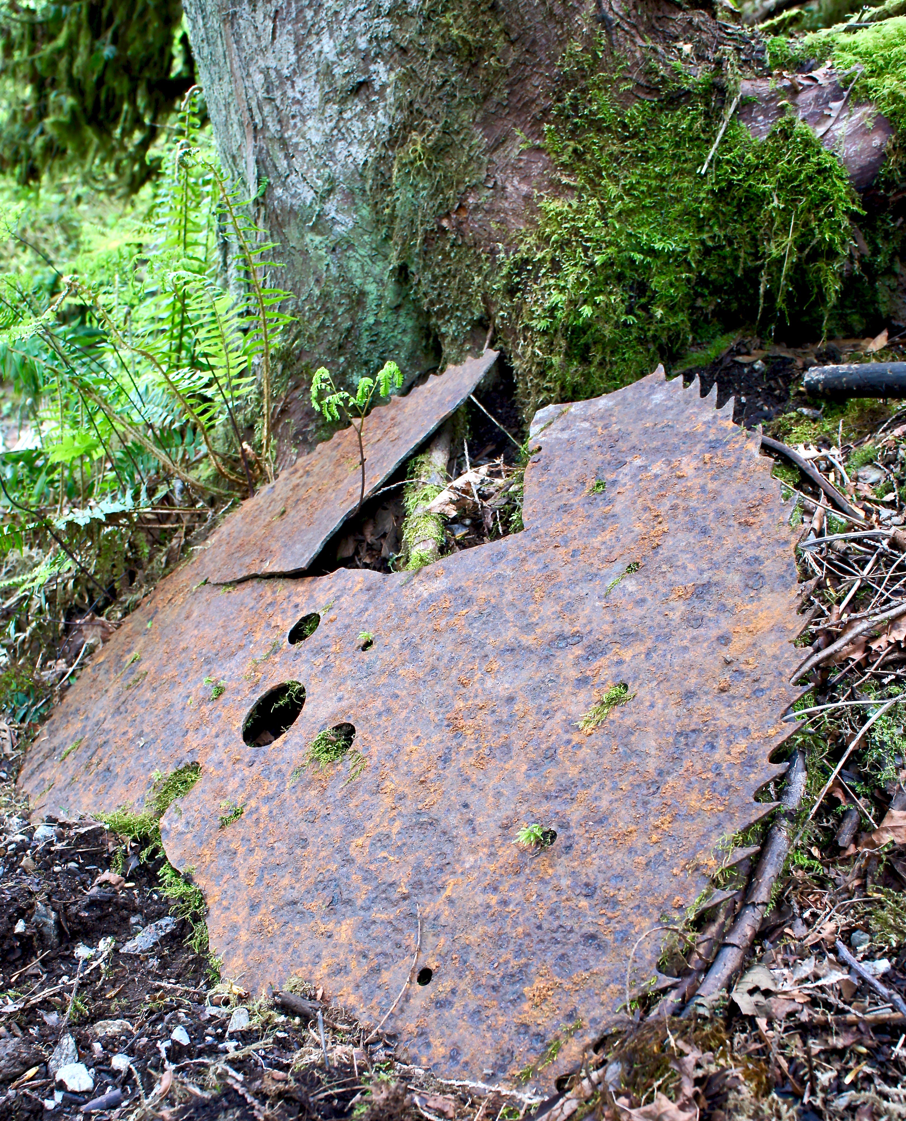 Old rusty metal saw left behind at lime kiln trail